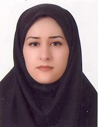 وکیل مهنام بیک محمدی هزاوه