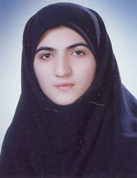 وکیل رضوان عاملی نجف آبادی