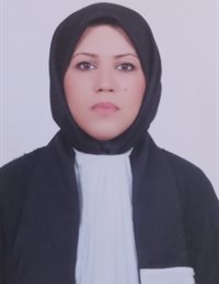 وکیل مینا دره ویسی