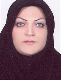 وکیل لورا برزگر