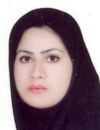 وکیل اکرم حسینی گراوندی