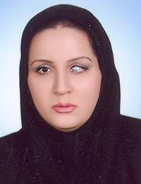 وکیل لیلا والائی