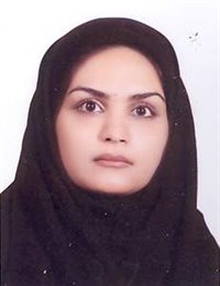 وکیل سمیه السادات حسینی