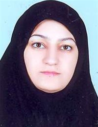 وکیل سمیه سادات احمدی میبدی
