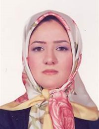 وکیل مونا سراجی