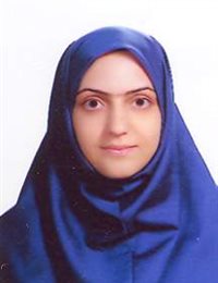 وکیل حسنی شیخ عطار