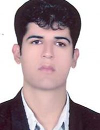 وکیل اسماعیل شمس الدینی اردکانی