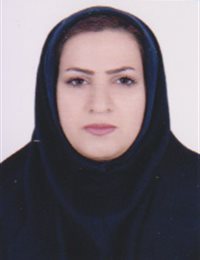 وکیل شادی ابراهیمی