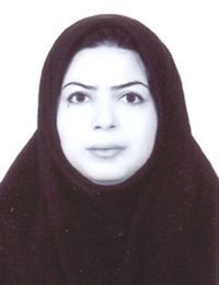 وکیل اعظم بابائی