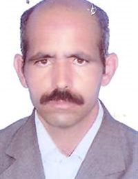 وکیل همایون امیری