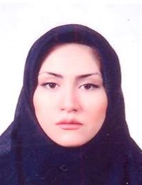 وکیل گل سو حسین گرکانی