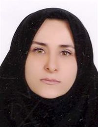 وکیل مرضیه ربیعی