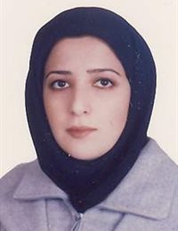 وکیل آزاده نوردی