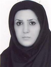 وکیل زهرا شاهرودی