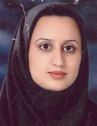 وکیل میدیا نوژن