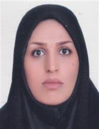وکیل لیلا امیری
