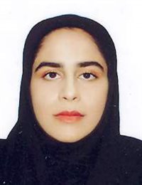 وکیل نجمه محمدی زنجان بر