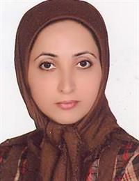 وکیل نیره باقر امیری