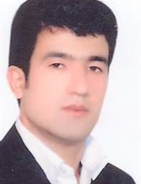 وکیل هادی صلاحی