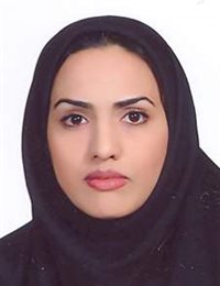 وکیل اعظم صفارزاده