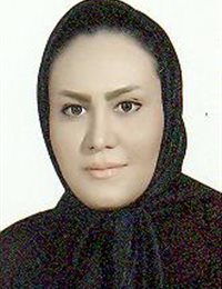 وکیل سوده لطفی