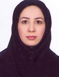 وکیل سارا نیک جو