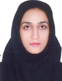 وکیل اعظم بختیاری