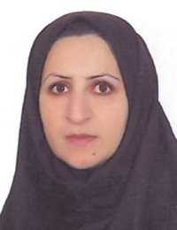 وکیل اعظم سیف الهی