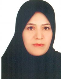 وکیل عزت روحی