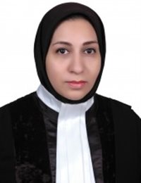 وکیل نوا حمزه نژاد