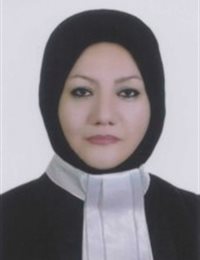 وکیل مژگان میرنظامی