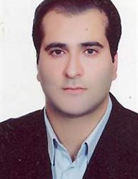 وکیل اسماعیل میلادی گرجی