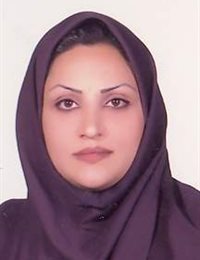 وکیل نرگس رضایی داویجانی