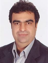 وکیل حمید مهریزی