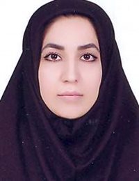 وکیل ملیحه امیری