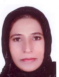 وکیل نازنین ایروانی