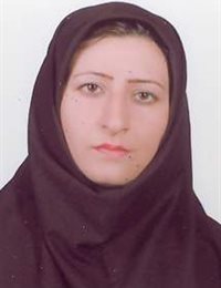 وکیل مینا نور الهی