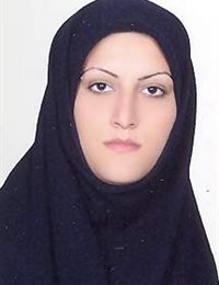 وکیل اشرف امین زاده
