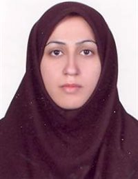 وکیل سیده رقیه محمدی