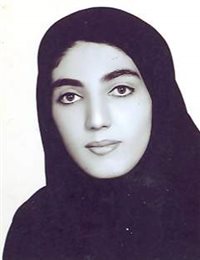 وکیل ناهید بگ نژاد ورزقانی