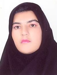 وکیل زینب حبیبی