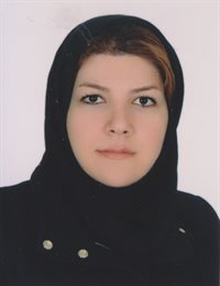 وکیل سولماز نظری