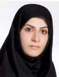 وکیل مینا موسوی