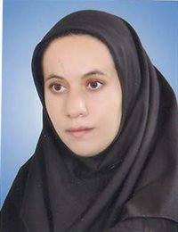 وکیل سمیه سربازی