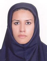 وکیل مونا تقی زادگان