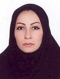 وکیل نسرین رضائی مجدی