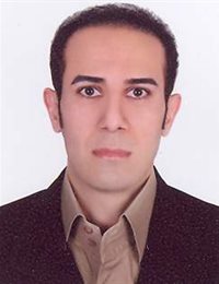 وکیل هادی محمدی