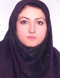 وکیل امینه محمودی