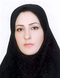 وکیل الهه ساقی
