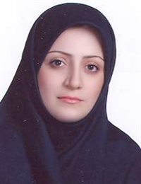 وکیل لاله بختیاری